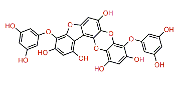 Phlorofucofuroeckol A